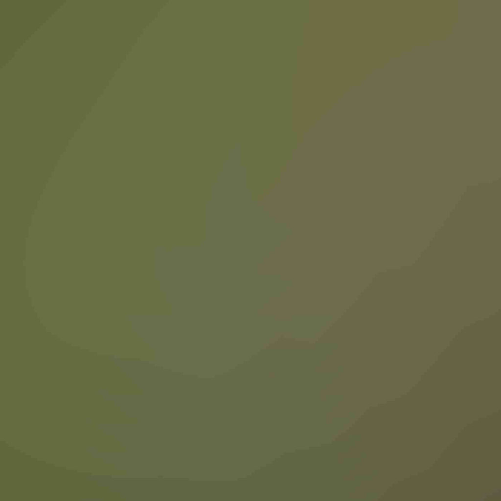 Portfolio-11